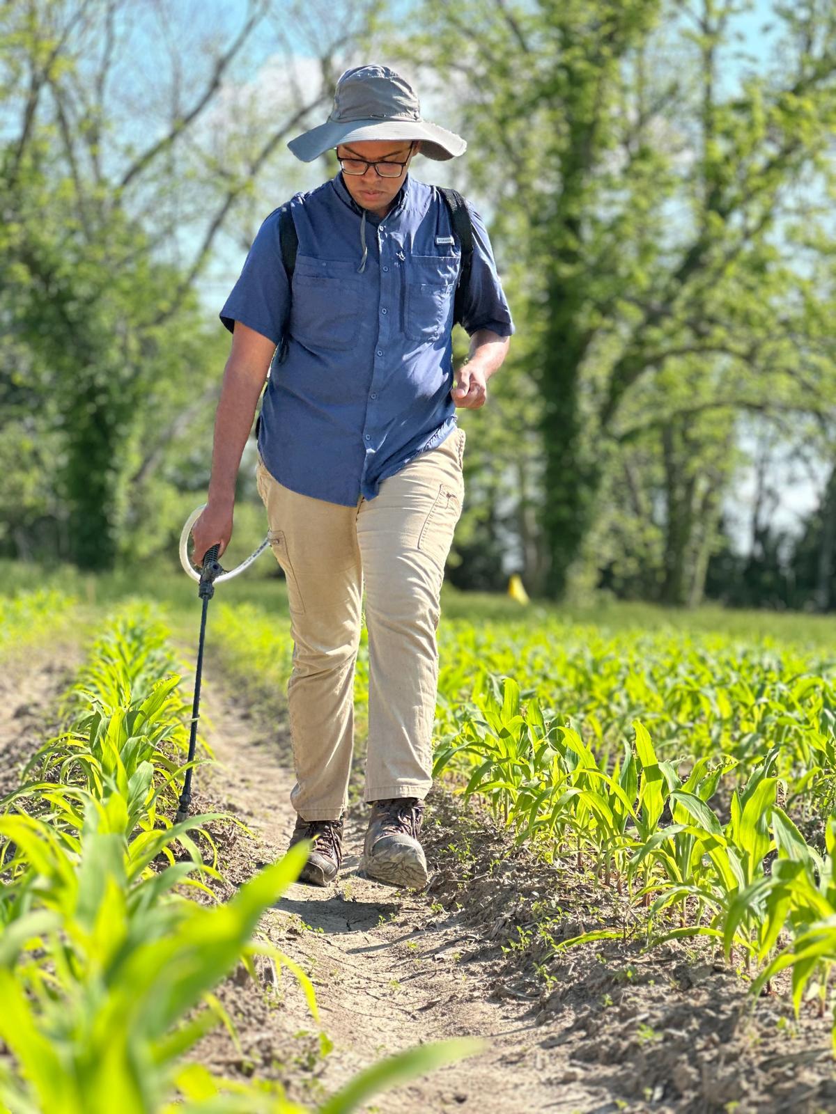 LSU AgCenter researchers test biostimulants to create a ’library’ of data